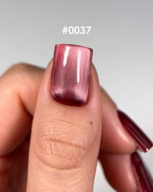 dnka silk cat eye gel polish 0037