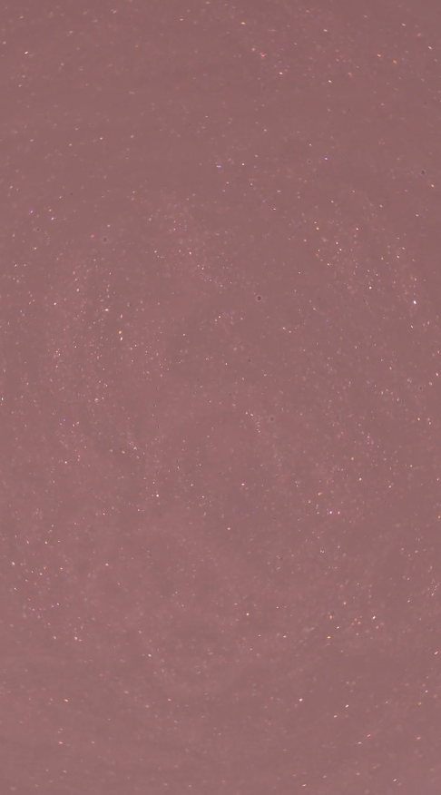 NUDE GLITTER, SPARKLES